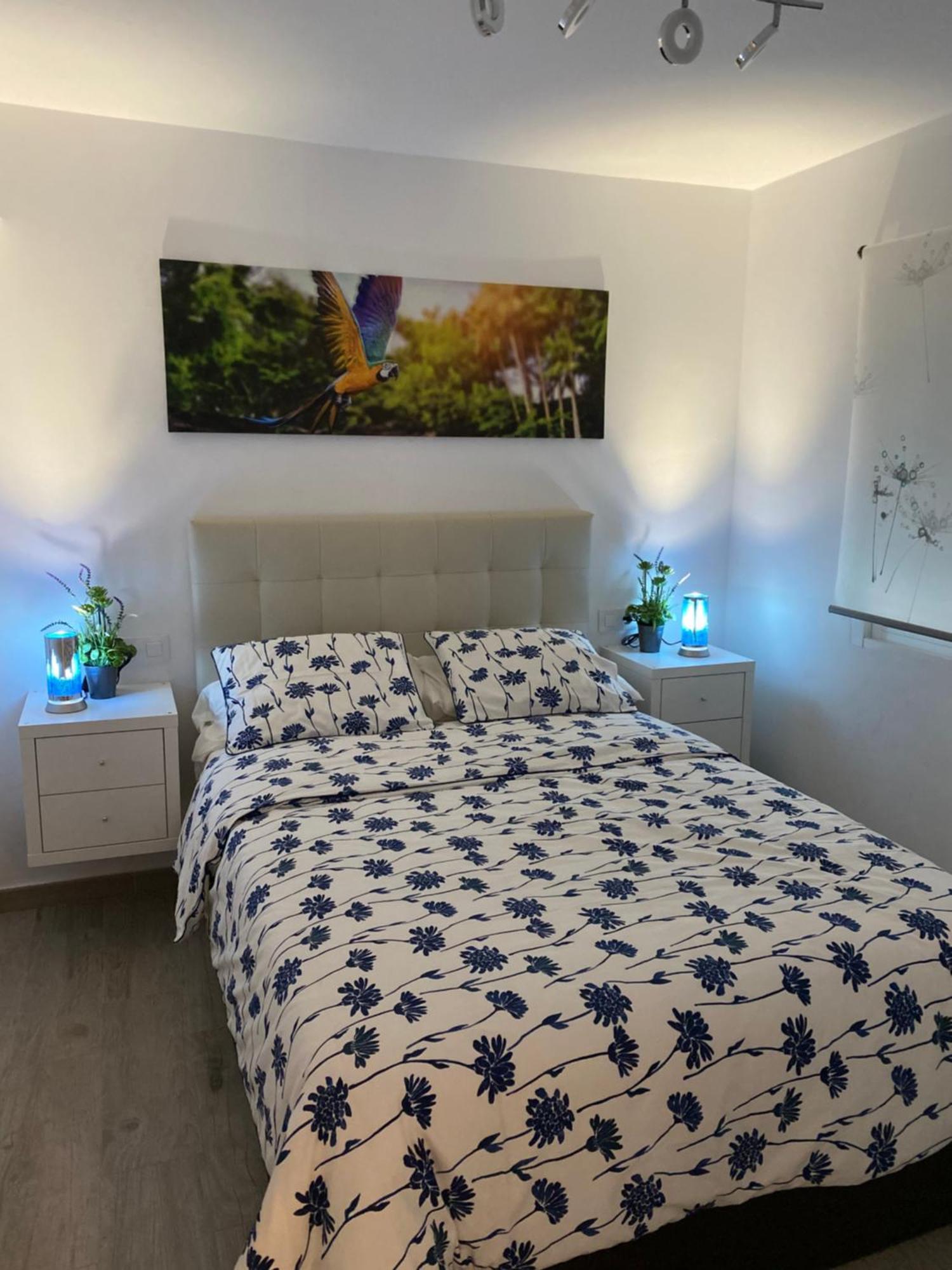 Apartment Enzo
